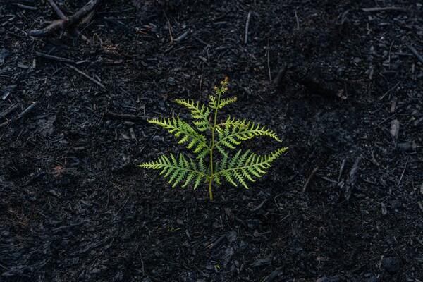 Image for blogpost. Photo by Matt Palmer